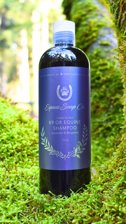 Chemical-Free Equine or K9 Lavender & Bergamot Shampoo 16 oz.