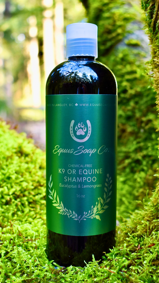 Chemical-Free Equine or K9 Eucalyptus & Lemongrass Shampoo 16 oz.