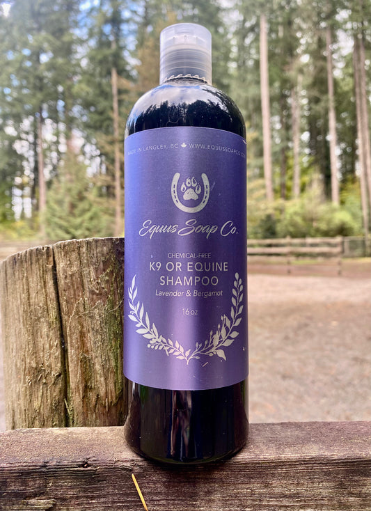 Chemical-Free Equine or K9 Lavender & Bergamot Shampoo 16 oz.