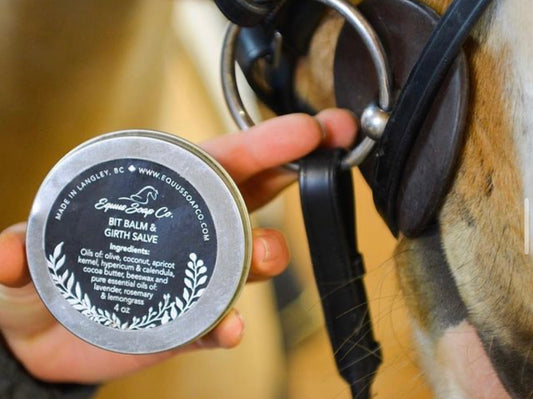 Equine Bit Balm and Girth Salve