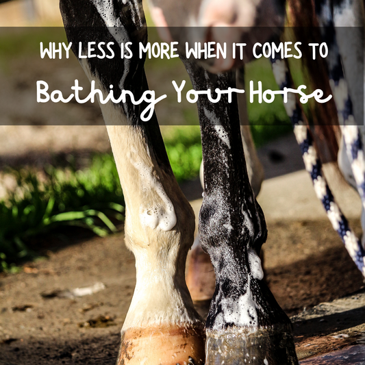 Science Says Frequent Bathing Isn't Healthy for Your Horse: Why Less is More