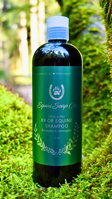 Chemical-Free Equine or K9 Eucalyptus & Lemongrass Shampoo 16 oz.